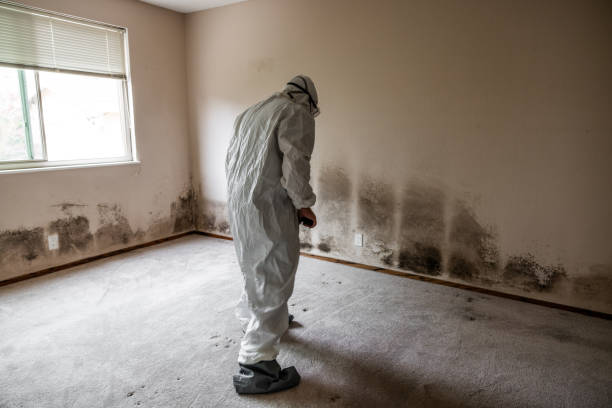 Mold Exposure & Symptoms